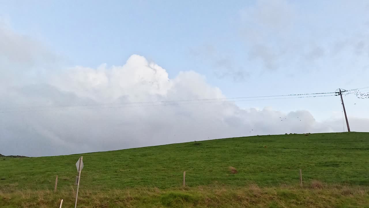 새들은 울창한 언덕과 전선 위로 날아갑니다.