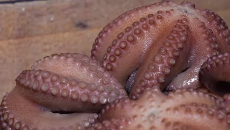 close up octopuses boiled cooked moving round wooden table ready to healthy and gourmet seafood meal
