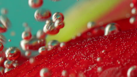 close-up of a red fruit slice submerged in water with bubbles