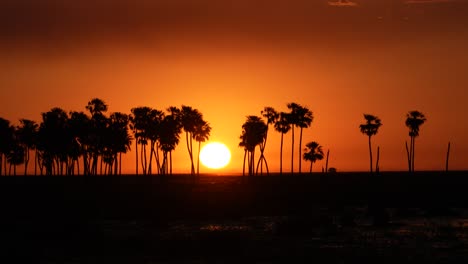 the sun setting behind the horizon on a tropical landscape among coconut trees, a romantic sunset theme