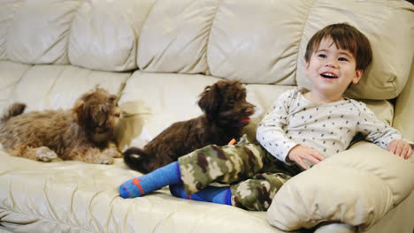 the boy watches tv, laughs. two puppies stick to him, want to play. children and pets