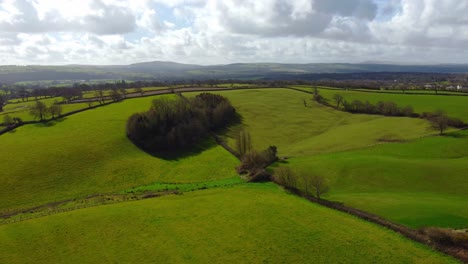 a smooth wide aerial pan over a few grass fields surrounding a cluster of trees