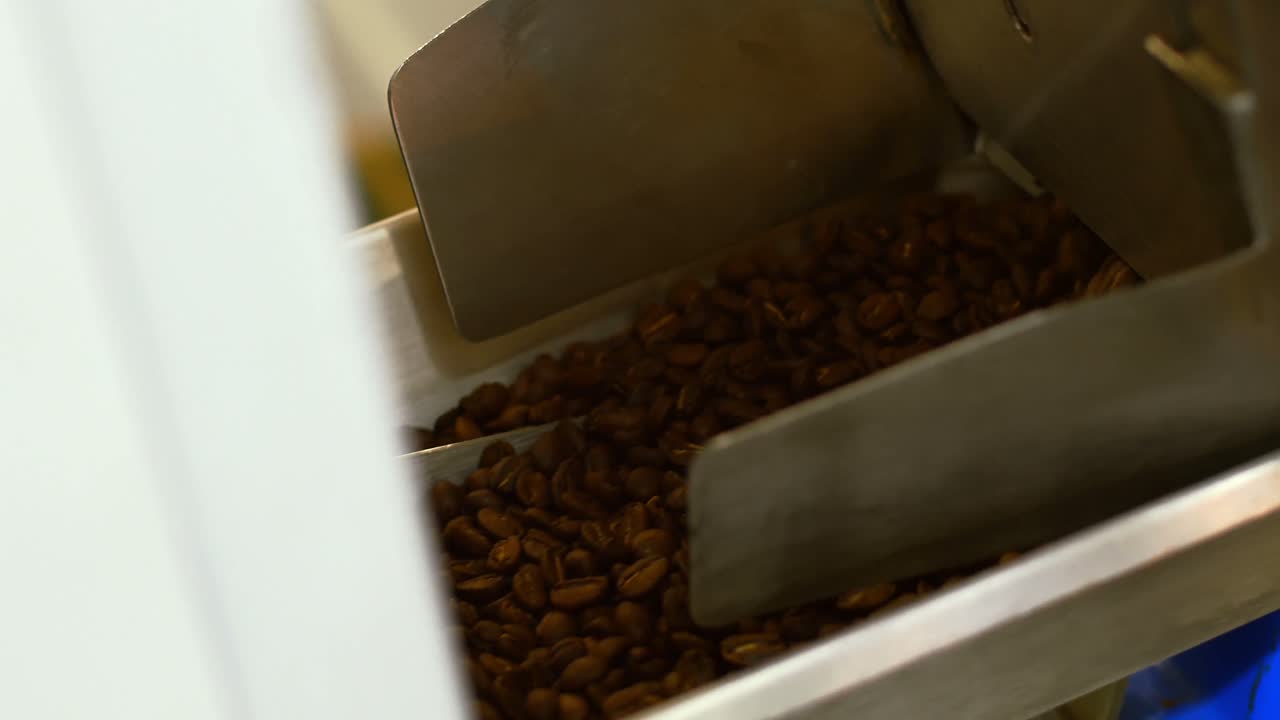 Man pouring coffee beans in weighing machine