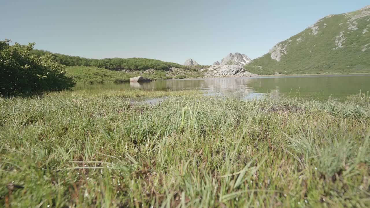 지면에 가깝게 앞으로 움직이는 카메라