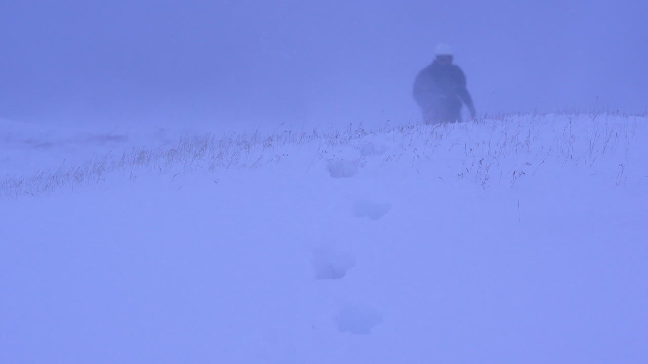 잃어버린 여자가 눈 덮인 바람이 부는 눈보라 속을 걷고 있다