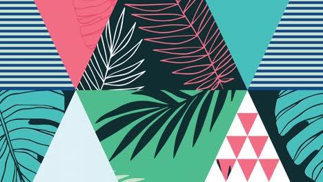 animation of backgroud with colorful triangles and leaves