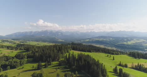 flying over the beautiful forest trees landscape panorama 25