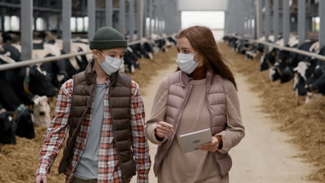 woman and boy in face masks walking through dairy farm