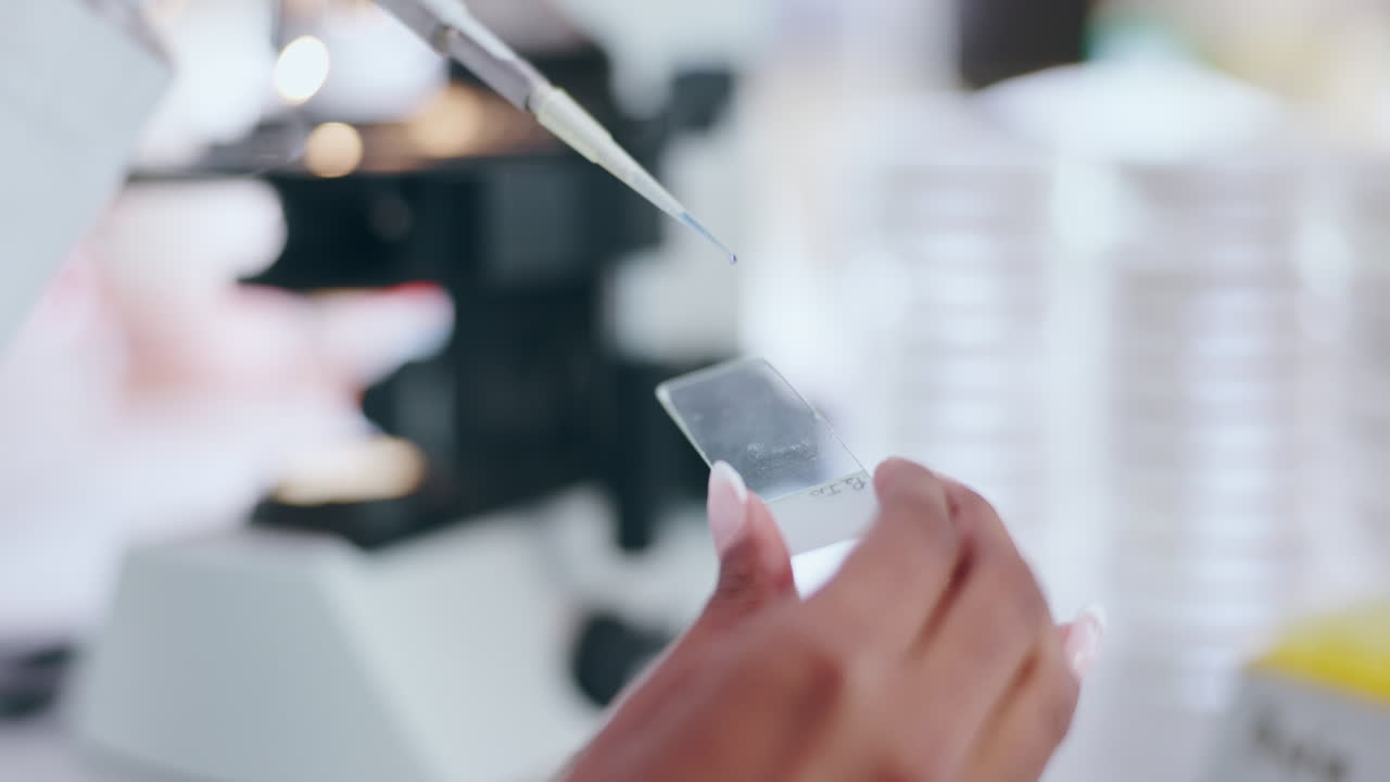 Hands, scientist and pipette on plate in close up