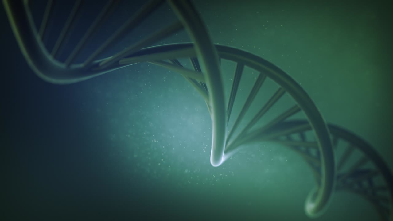 DNA Rotating Double Helix Loop