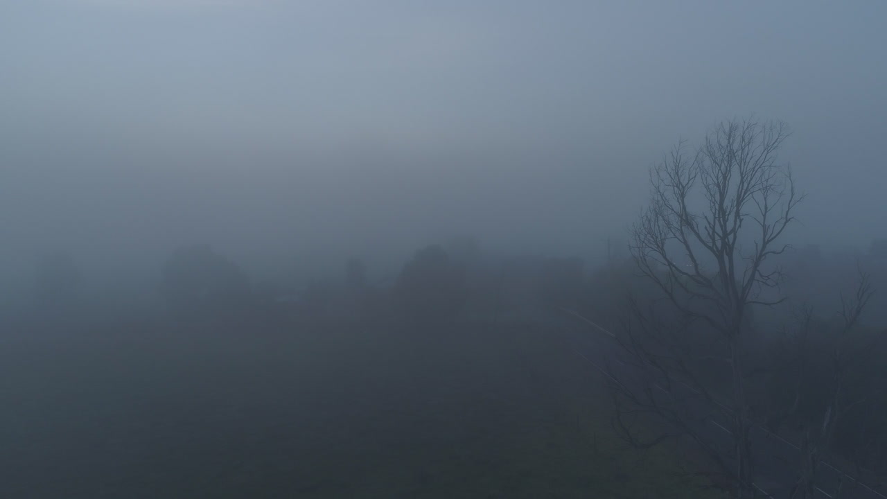 호주 멜버른 근처의 안개가 가득한 아침에 조용하고 무서운 시골 도로의 영상