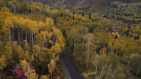 Flying-over-Alpine-loop-serpentine-road-among-yellow-fall-forest-scenery