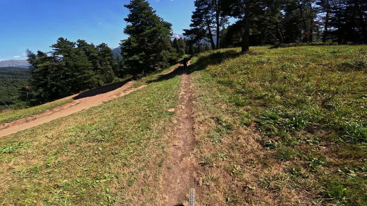 POV de ciclismo de montaña cuesta abajo por un sendero forestal soleado