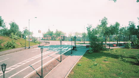 carretera de asfalto y árboles verdes en el parque