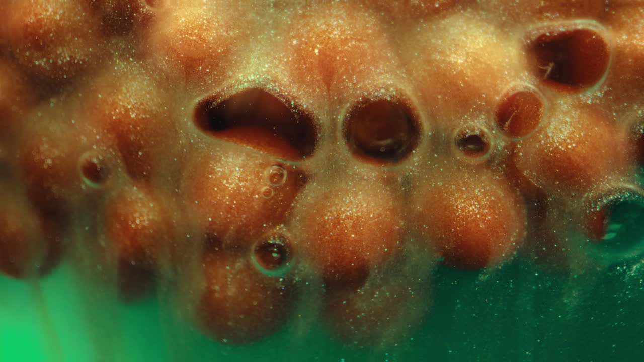 Abstract Macro Photography of Organic Texture