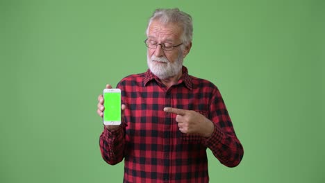 handsome senior bearded man against green background