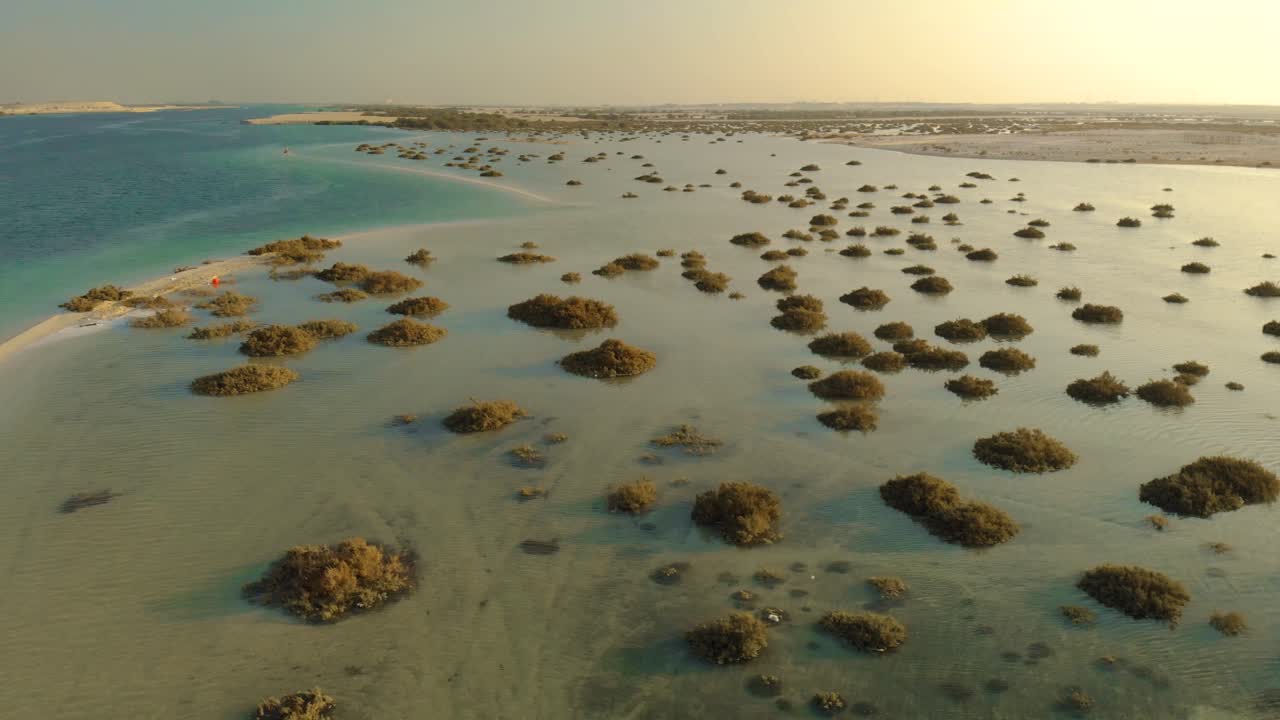 drone pan turquesa profundo océano agua atardecer refleja mar poco profundo manglares arbustos