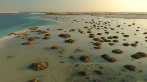 Drone-Pan-Turquesa-Profundo-Océano-Agua-Atardecer-Refleja-Mar-Poco-Profundo-Manglares-Arbustos