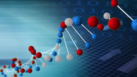 Animation-Eines-DNA-Strangs,-Der-Sich-über-Die-Datenverarbeitung-Dreht