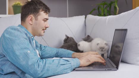 Man-and-his-spoiled-scottish-fold-kittens.