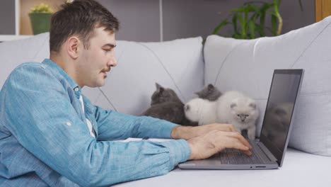 man and his spoiled scottish fold kittens.