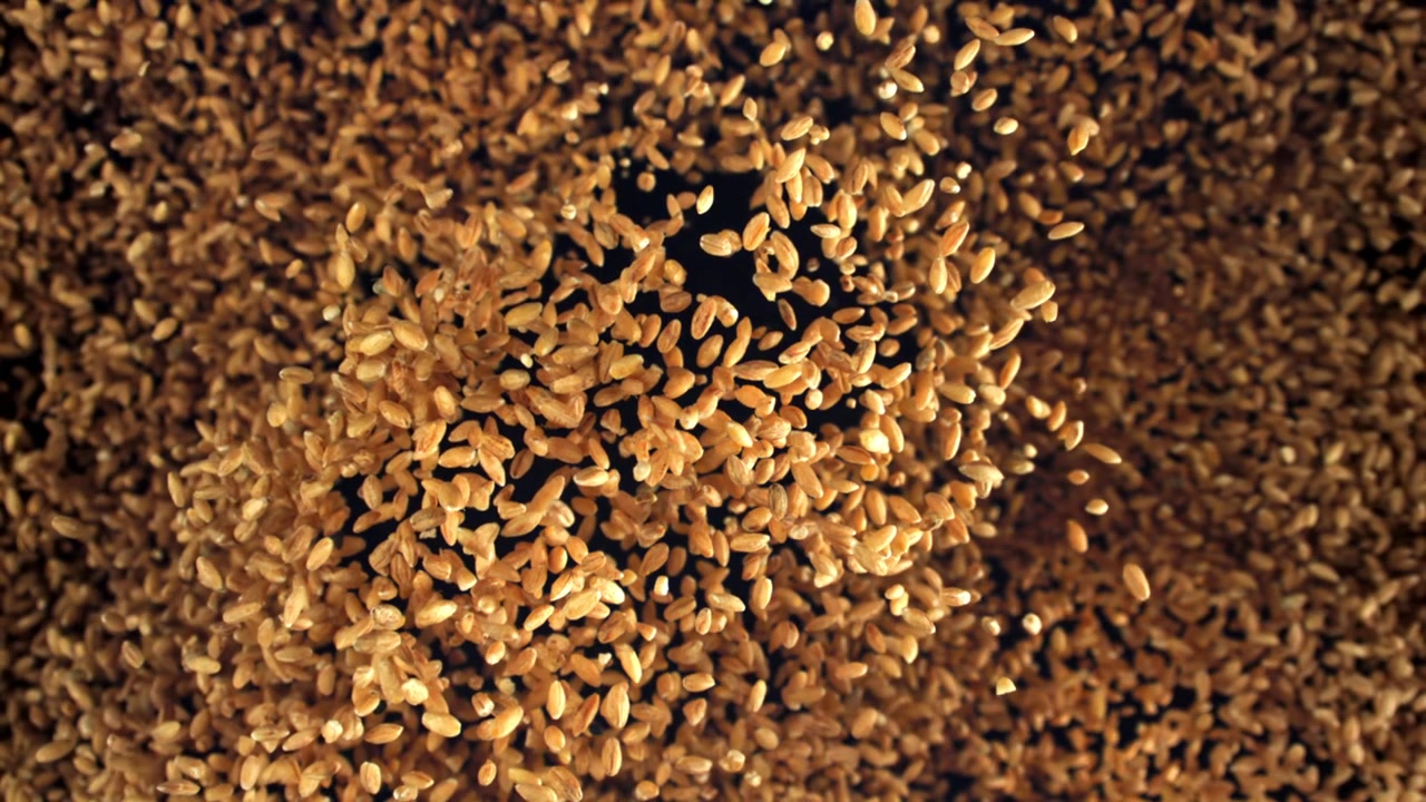 Super slow motion di chicchi di bulgur che cadono