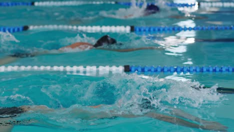 Swimmers-swimming-into-the-pool