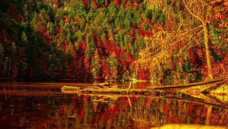 Precioso-Otoño-Colorido-En-El-Bosque-Con-Montañas-Y-Lago,-Estático-Con-Cálido-Sol-Matutino