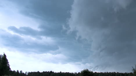 stürmische wolken über dem wald