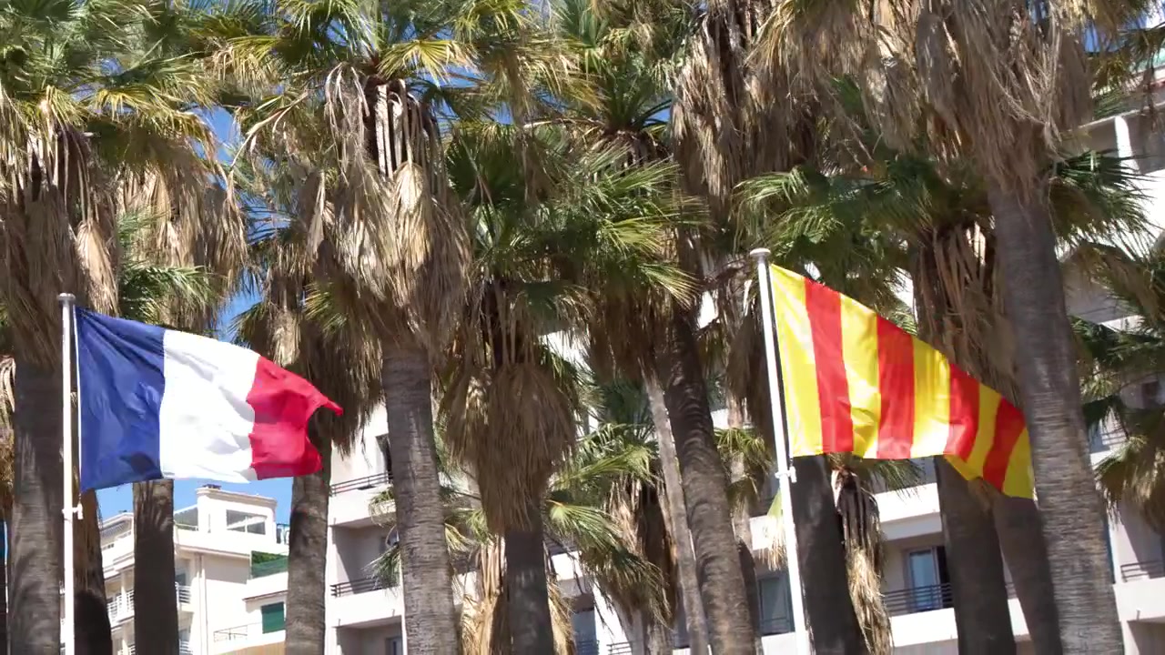 Banderas nacionales y regionales ondean con un telón de fondo de altas palmeras bajo la luz brillante del sol.
