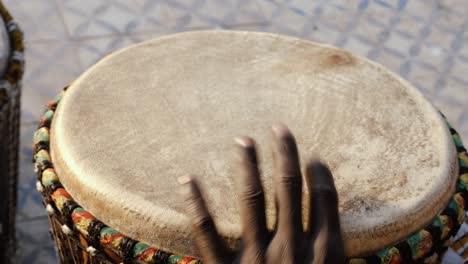 a senegalese plays a traditional djembe drum.