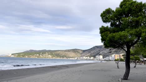 Bäume-Am-Strand-Von-Shengjin-In-Albanien