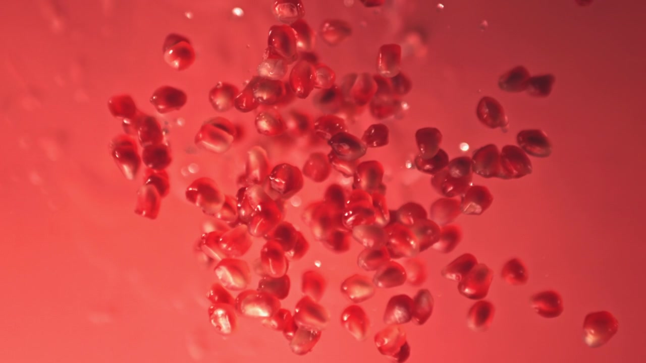 Red Pomegranate Seeds Gradually Coming into Sharp Focus