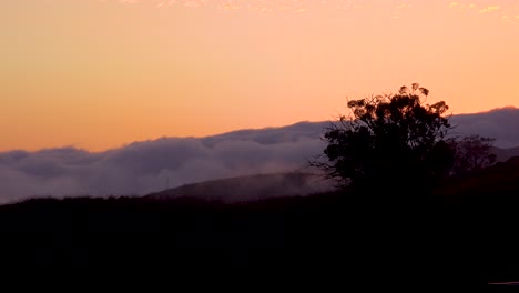 Time-Lapse-Fog-Along-The-Coast-Of-California