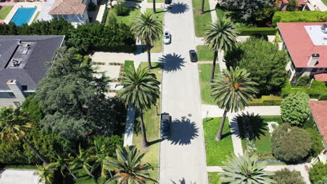 Drone-shot-flying-above-and-looking-down-at-beautiful-palm-tree-lined-street-in-West-Hollywood,-California