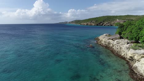 Drone-Volando-Sobre-La-Línea-De-La-Costa-Con-Cactus-Y-Plantas-Con-Agua-Clara-Del-Océano-Caribe