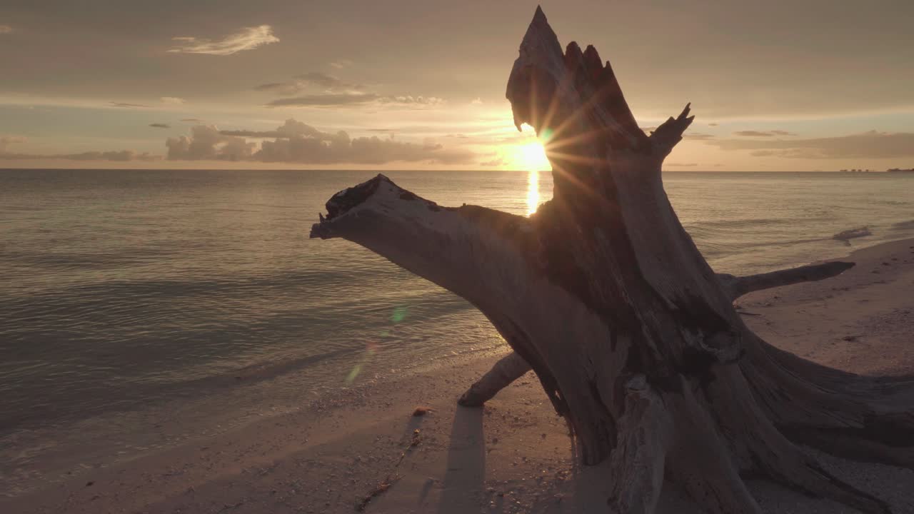 puesta de sol en la playa con océano y tocón de árbol en la arena