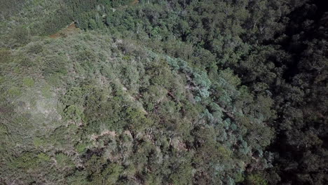 Aerial-tilt-up-revealing-the-Tallowa-Dam-reservoir-on-the-Shoalhaven-river,-in-New-South-Wales-Australia