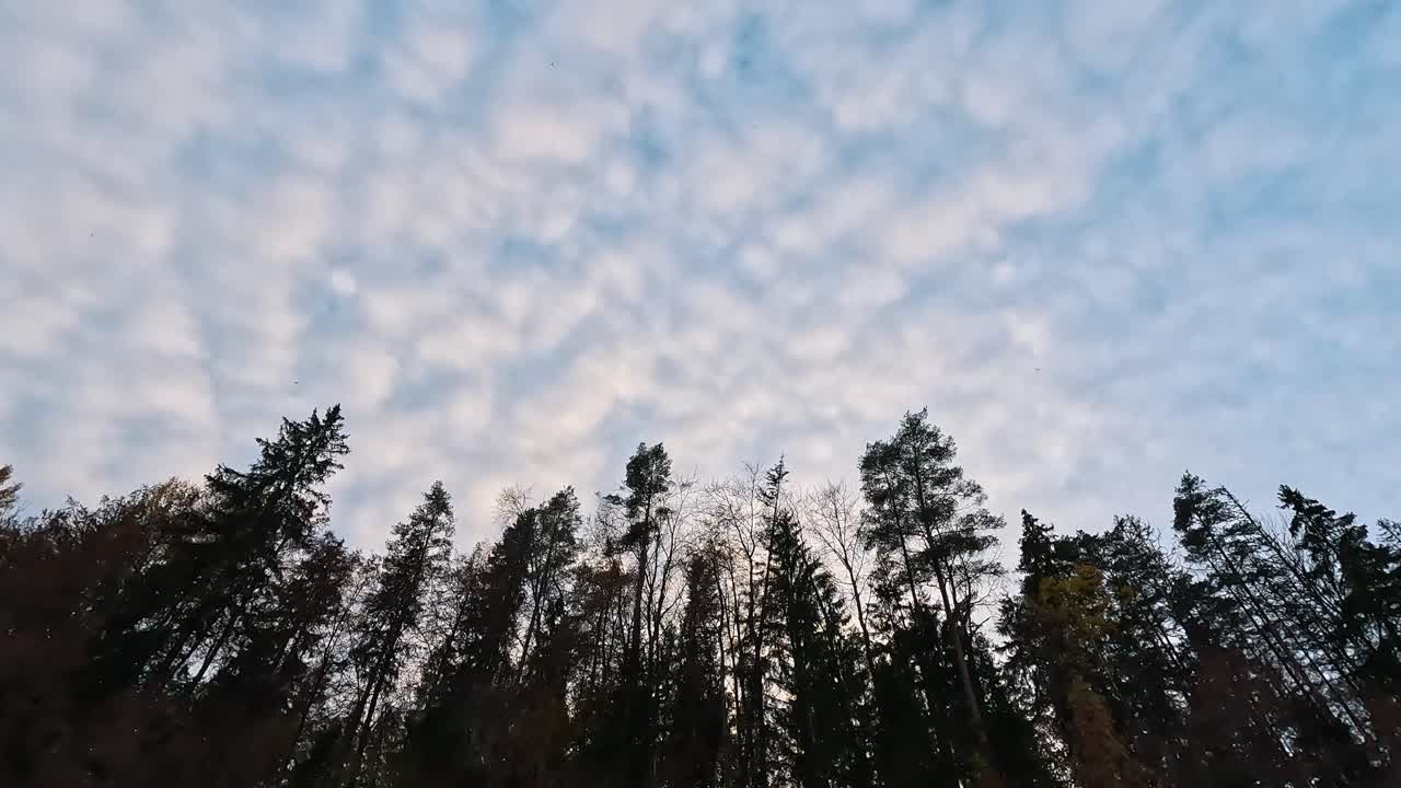 천사 동굴, 천사 날개 모양의 붉은 사암 절벽, 라트비아 마즈살라카에 있는 스카나이스칼른스 자연 공원의 살라카 강에서 가을 시간