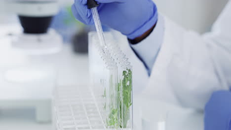 scientist performing a plant experiment in a laboratory