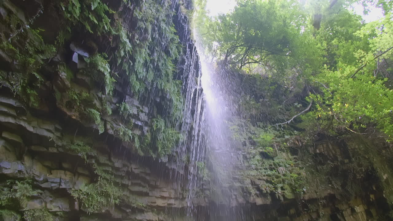 cascada oculta en un bosque exuberante