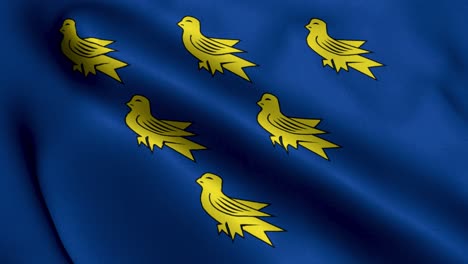 sussex city flag