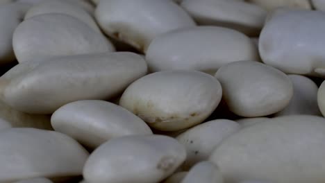 white dry organic kidney beans rotating slowly on turntable, food background.