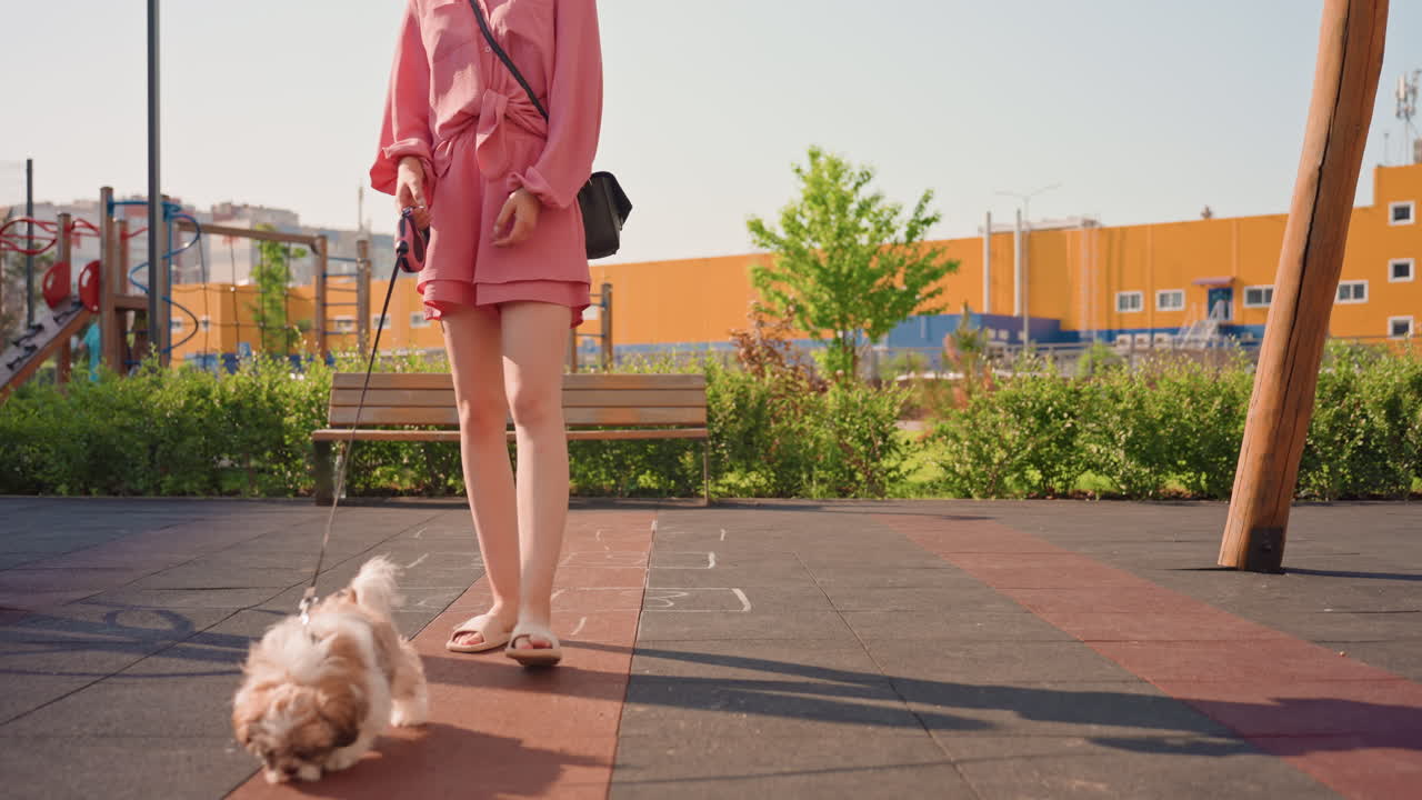 Passeggiata mattutina in città con un cagnolino al guinzaglio, passeggiata mattutina per la città con un piccolo animale domestico in mano, una scena urbana quotidiana con una persona che porta a spasso un cagnolino accanto a una panchina alla luce del sole mattutino
