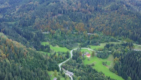 Exuberante-Vegetación-Bosque-De-Pinos-De-Eisenkappel-Vellach-Austria-Antena