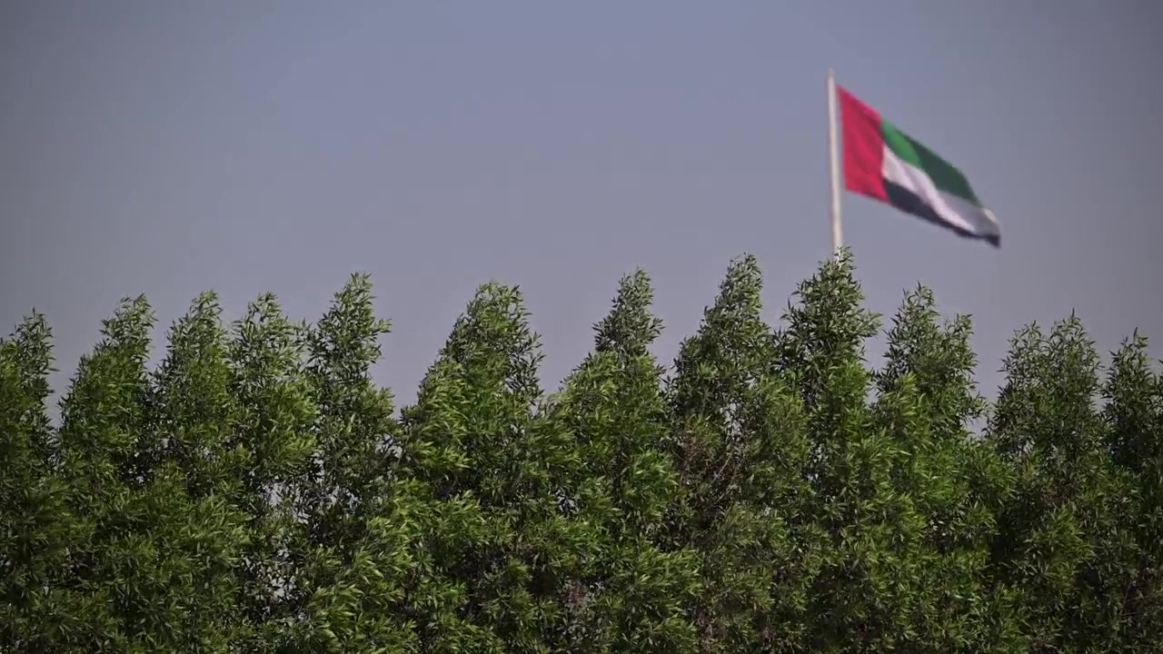 UAE national flag fluttering proudly over a canopy of green trees.