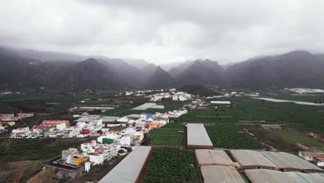 Banana-tropical-plantation-near-town-in-Tenerife,-mountain-peak-background