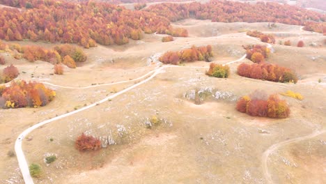 Vista-Aérea-De-Caminos-Increíbles-A-Través-Del-Parque-Nacional-Durmitor-En-Montenegro-Lleno-De-Increíbles-Colores-De-Otoño-Durante-El-Otoño