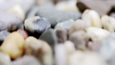 Moving-over-closeup-macro-colourful-pebbles-in-nature-on-the-ground