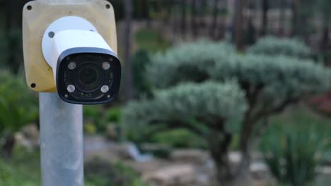 security camera in a park